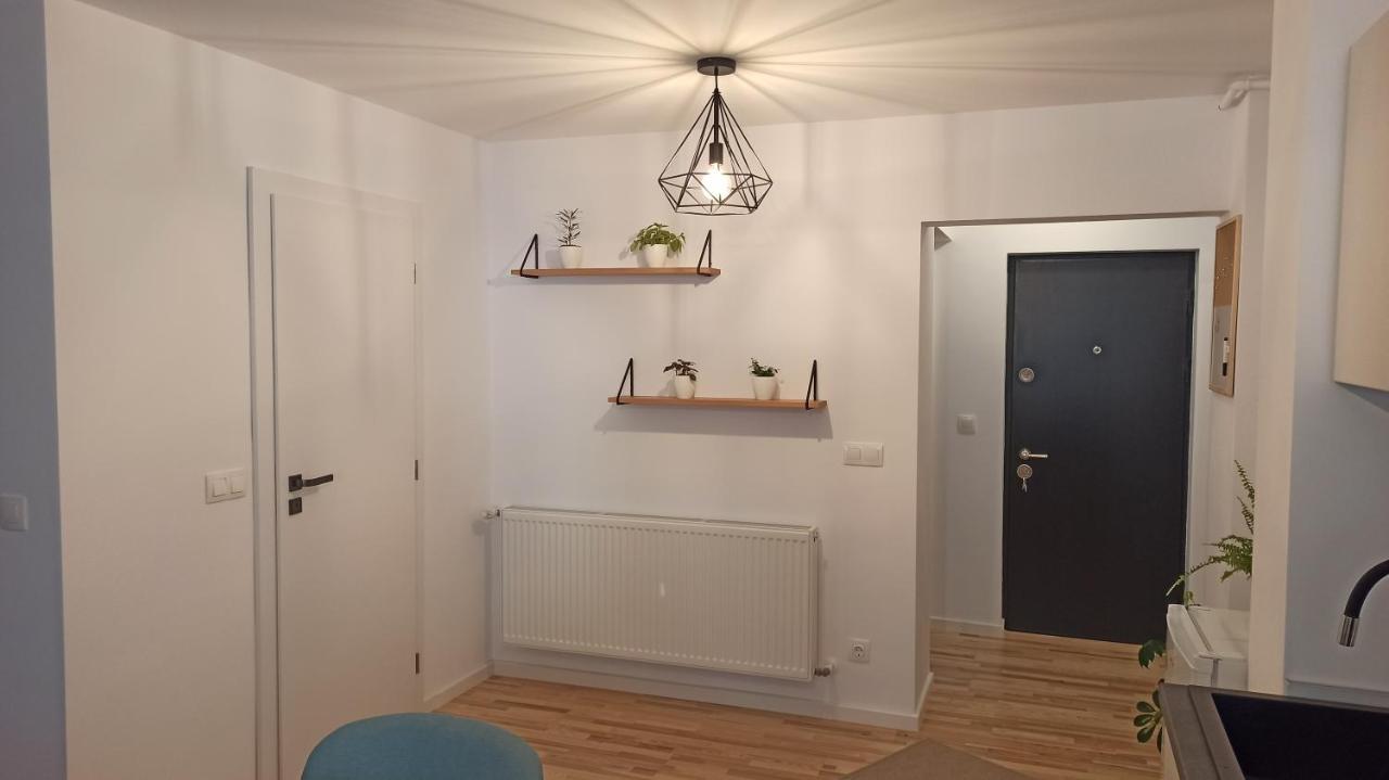 Ferienwohnung Chrysanthemum Sighişoara Exterior foto