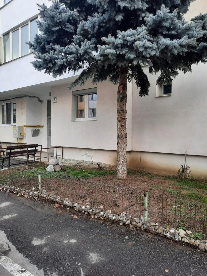 Ferienwohnung Chrysanthemum Sighişoara Exterior foto